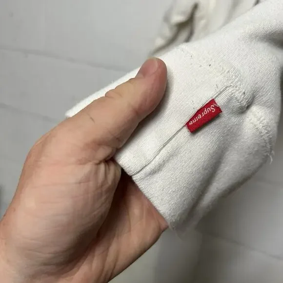 Supreme “They F*ck You Up” Poem Hooded Sweatshirt FW16 - Picture 14 of 14